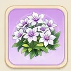 꿈의 보라 으아리
