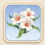 붉은 심장 물상추