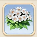 자홍깃 재클린