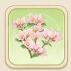 연벚꽃 부겐빌레아