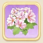 연분홍 앵초